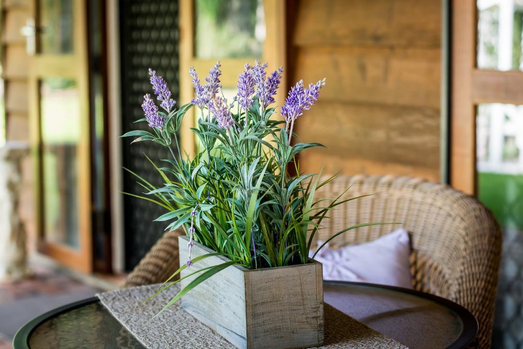 Ronday-Voo Bed And Breakfast Speewah Exterior foto
